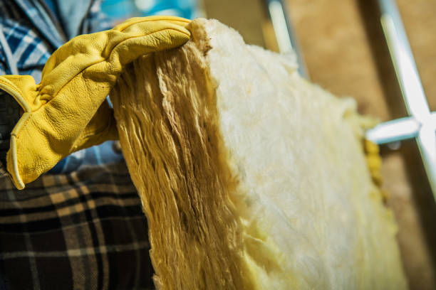 Best Residential Insulation in Salida, CO